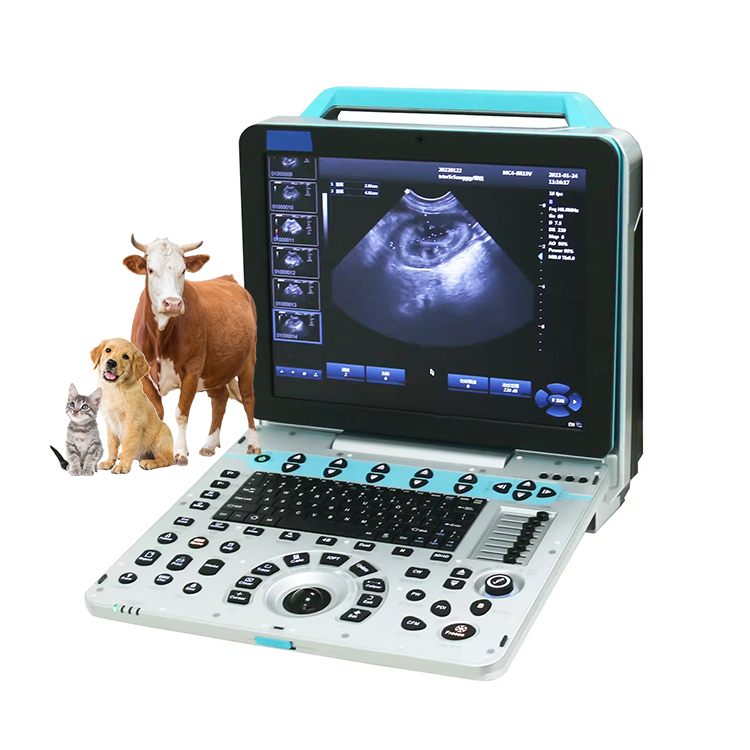 Veterinary Ultrasound Scanner Portable - Ultrasonido animal veterinario portátil de la
