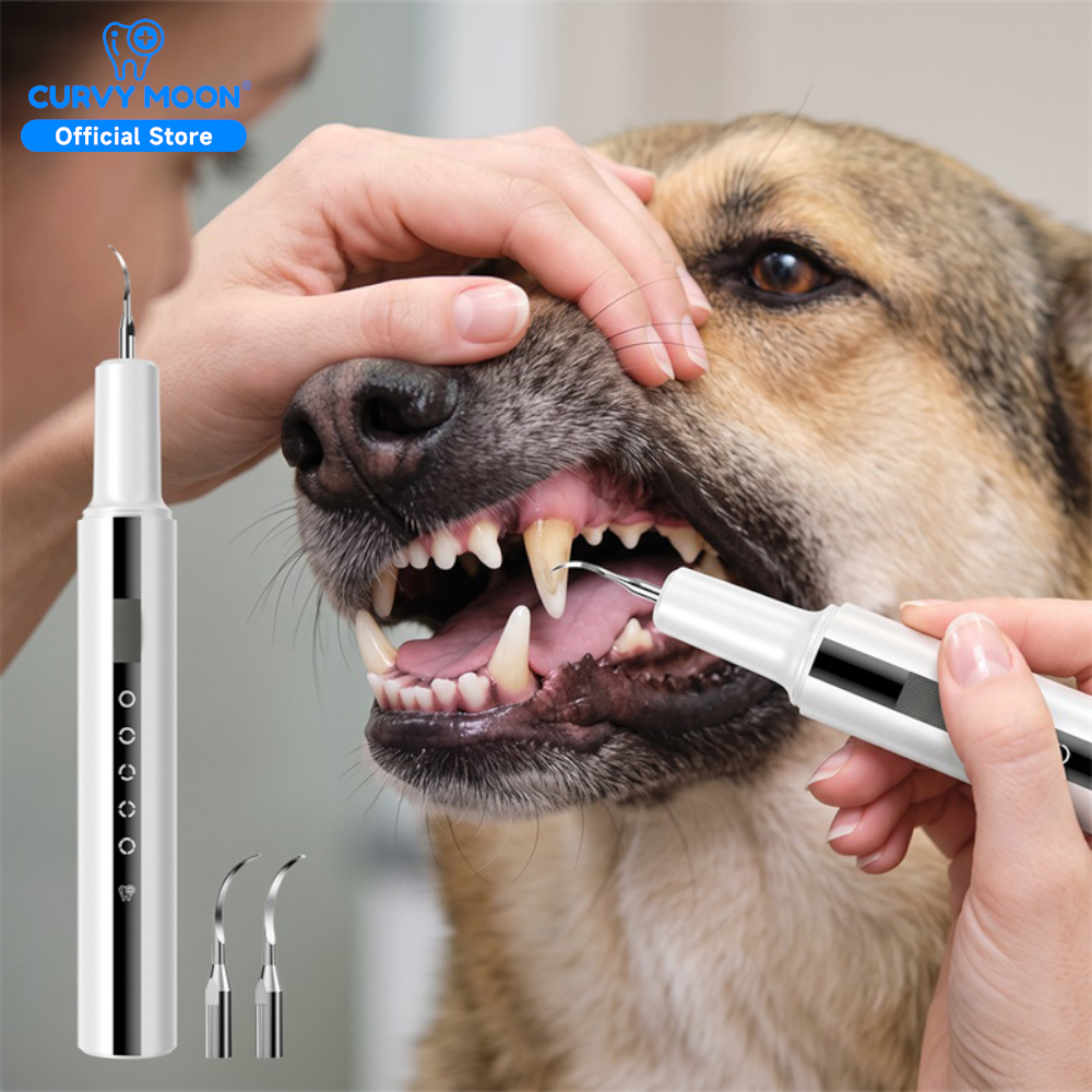 Veterinary Dental Scaler - Limpiador Dental Ultrasónico Eléctrico para Mascotas,