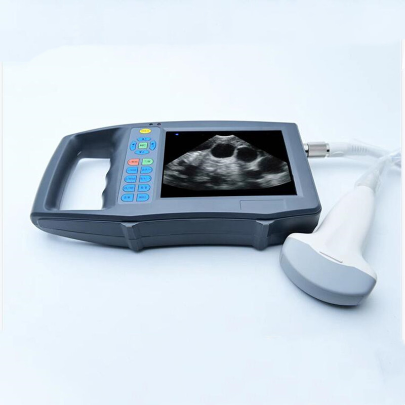 Livestock Ultrasound Pregnancy - Máquina de Ultrasonido Veterinaria Portátil a