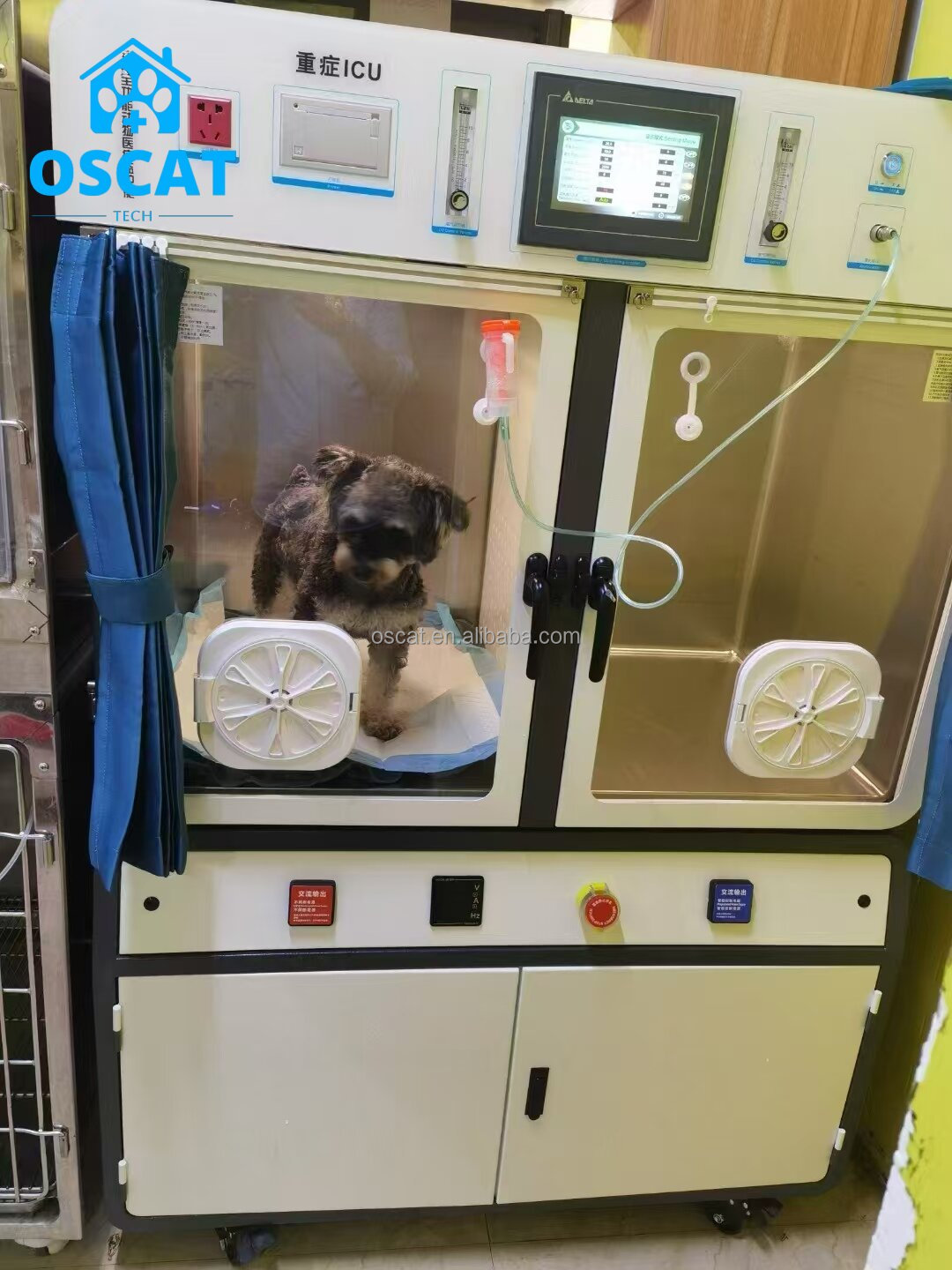 Equipo Veterinario, Jaula de O - Animal Incubator Veterinary reseña y precio