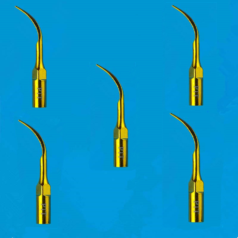 Escalador ultrasónico para odo - Veterinary Dental Scaler reseña y precio