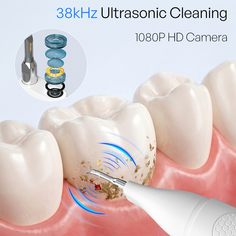 Limpiador Dental Ultrasónico V - Veterinary Dental Scaler reseña y precio