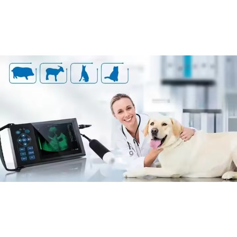 Escáner de Ultrasonido Inalámb - Veterinary Ultrasound Scanner Portable reseña y precio