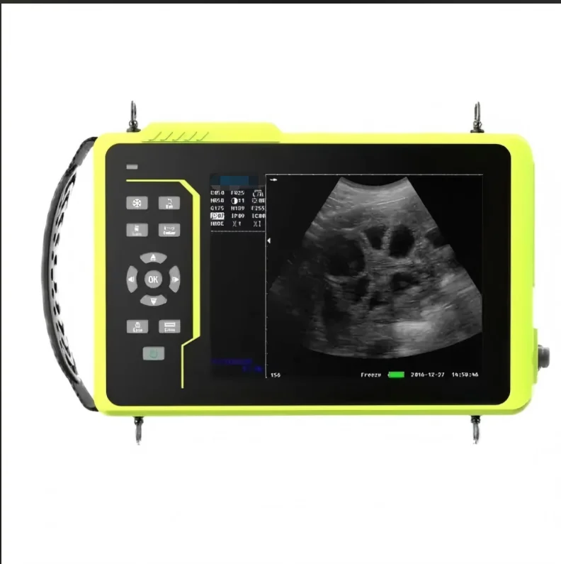 #   Sistema de diagnóstico por - Veterinary Ultrasound Scanner Portable reseña y precio