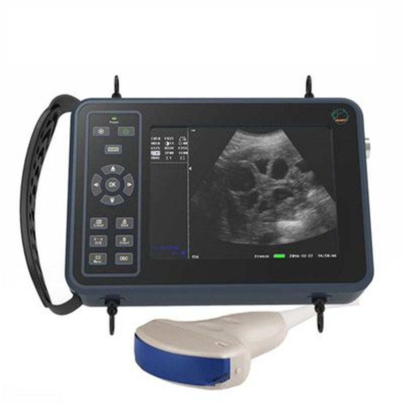 Escáner de ultrasonido veterin - Livestock Ultrasound Pregnancy reseña y precio