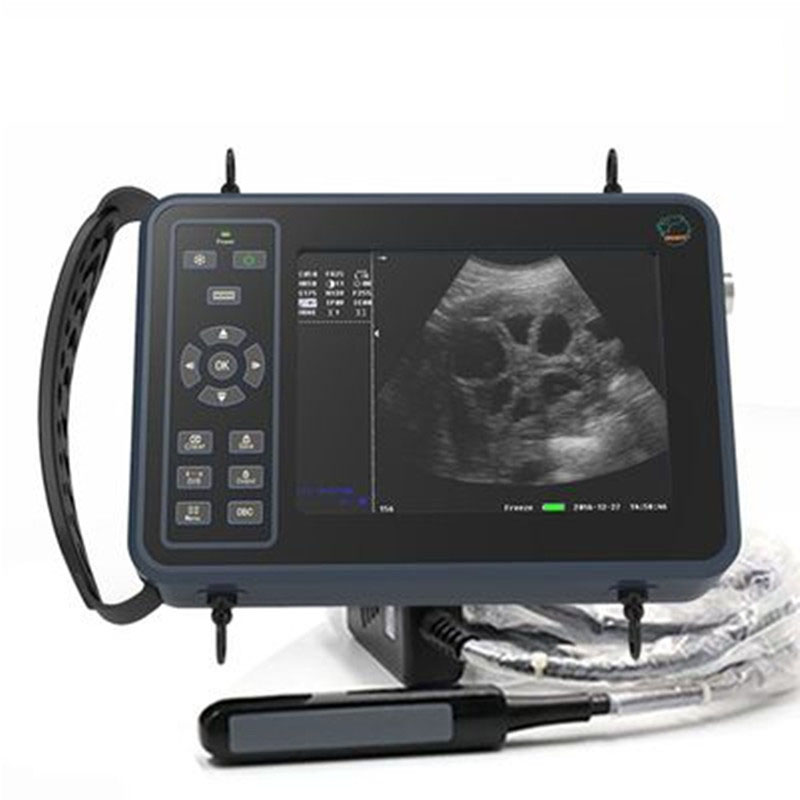 Escáner de ultrasonido veterin - Livestock Ultrasound Pregnancy reseña y precio