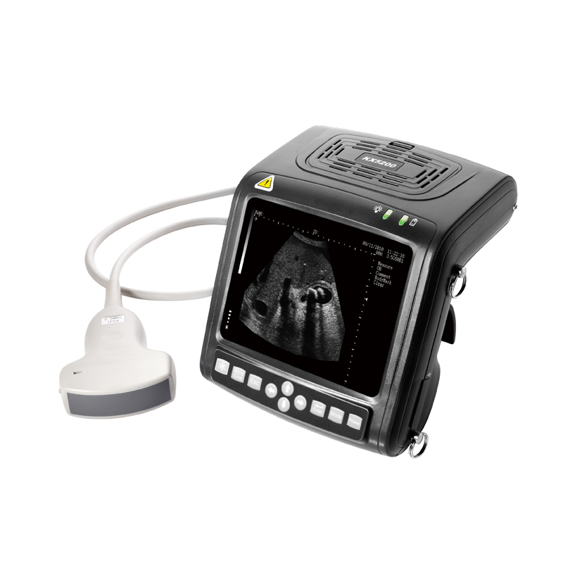 Mecan Vet Animal probador de e - Livestock Ultrasound Pregnancy reseña y precio