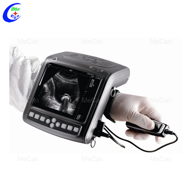Mecan Vet Animal probador de e - Livestock Ultrasound Pregnancy reseña y precio