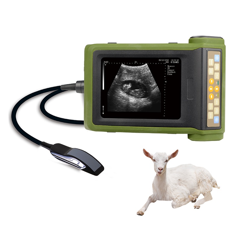 Mecan Vet Animal probador de e - Livestock Ultrasound Pregnancy reseña y precio