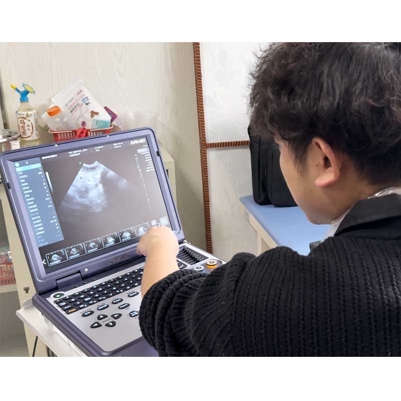 Ecógrafo Veterinario Portátil  - Veterinary Ultrasound Scanner Portable reseña y precio