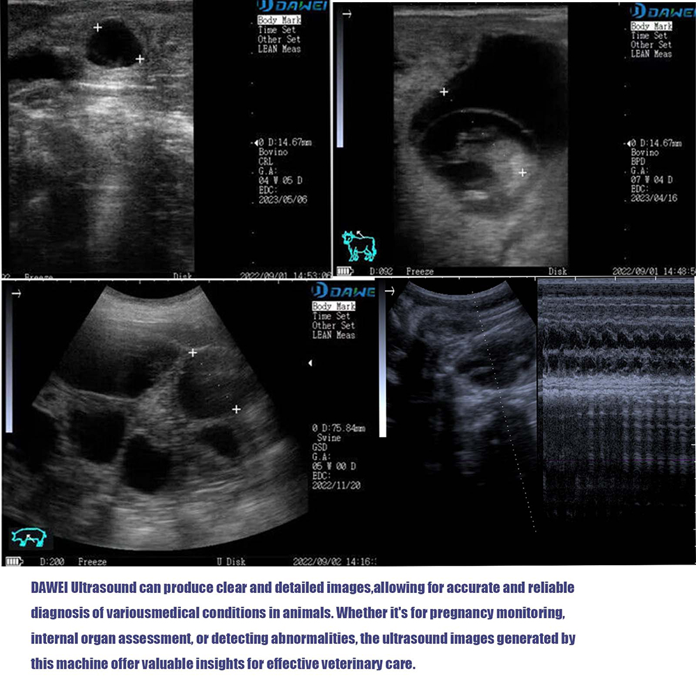 Escáner de ultrasonido veterin - Veterinary Ultrasound Scanner Portable reseña y precio
