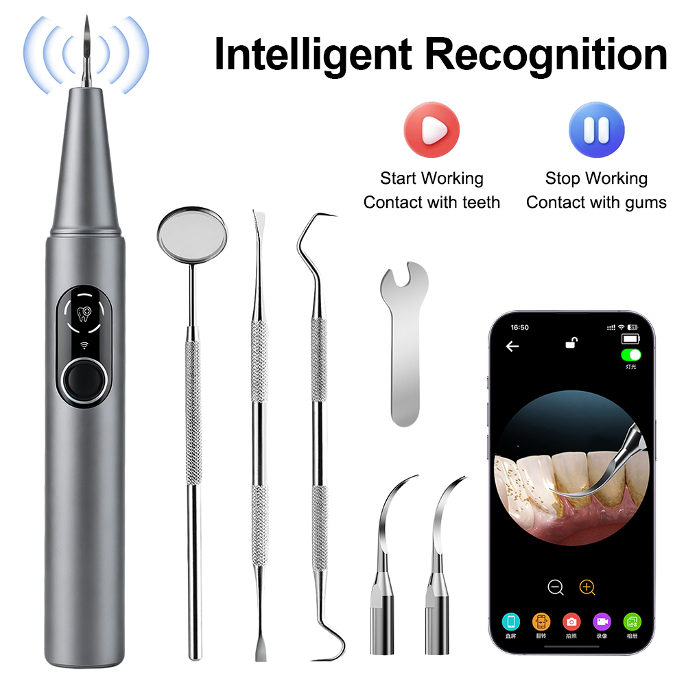 Nuevo Escalador Dental Ultrasó - Veterinary Dental Scaler reseña y precio