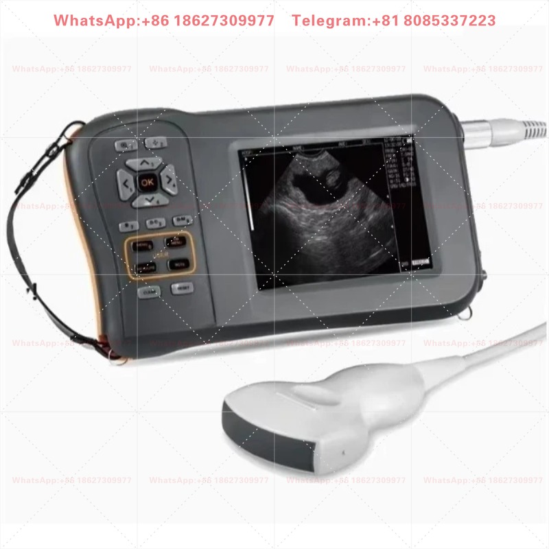 Equipo Veterinario para Detecc - Veterinary Ultrasound Scanner Portable reseña y precio