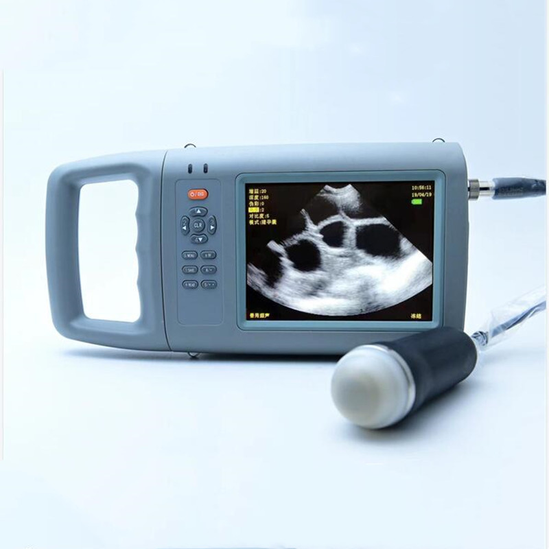 Máquina de Ultrasonido Veterin - Livestock Ultrasound Pregnancy reseña y precio