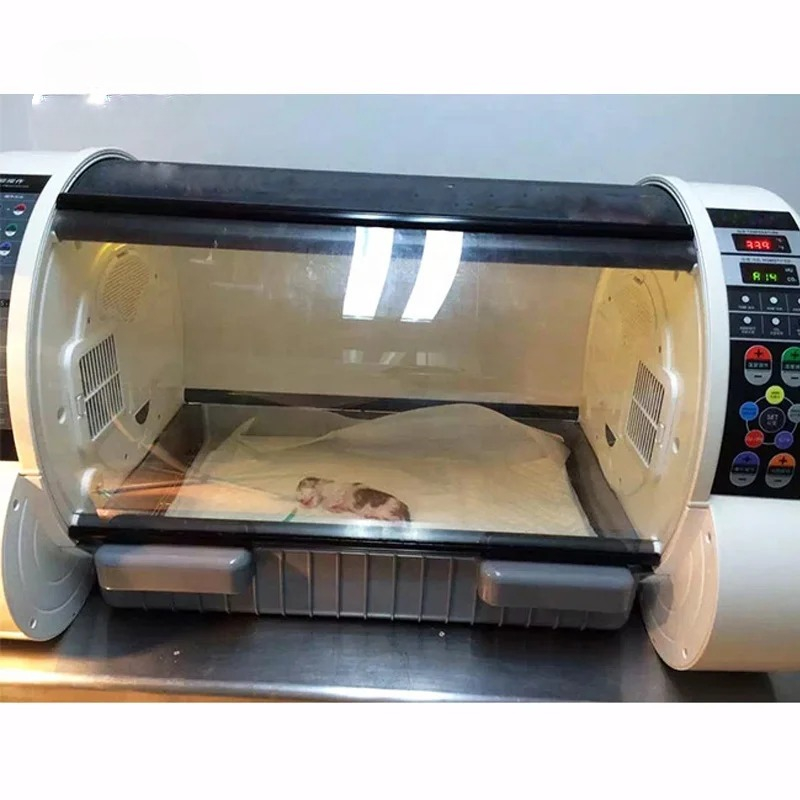 Incubadora de Ventilación para - Animal Incubator Veterinary reseña y precio