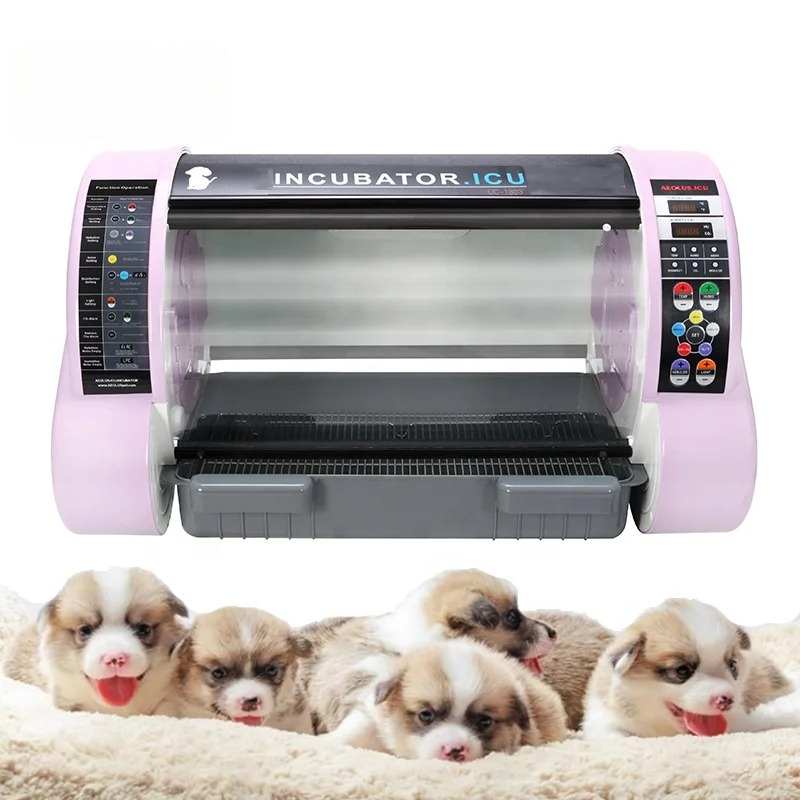 Incubadora de Ventilación para - Animal Incubator Veterinary reseña y precio