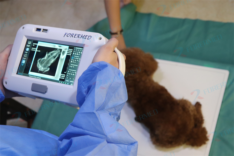 Mini máquina de rayos X veteri - Veterinary Anesthesia Machine reseña y precio