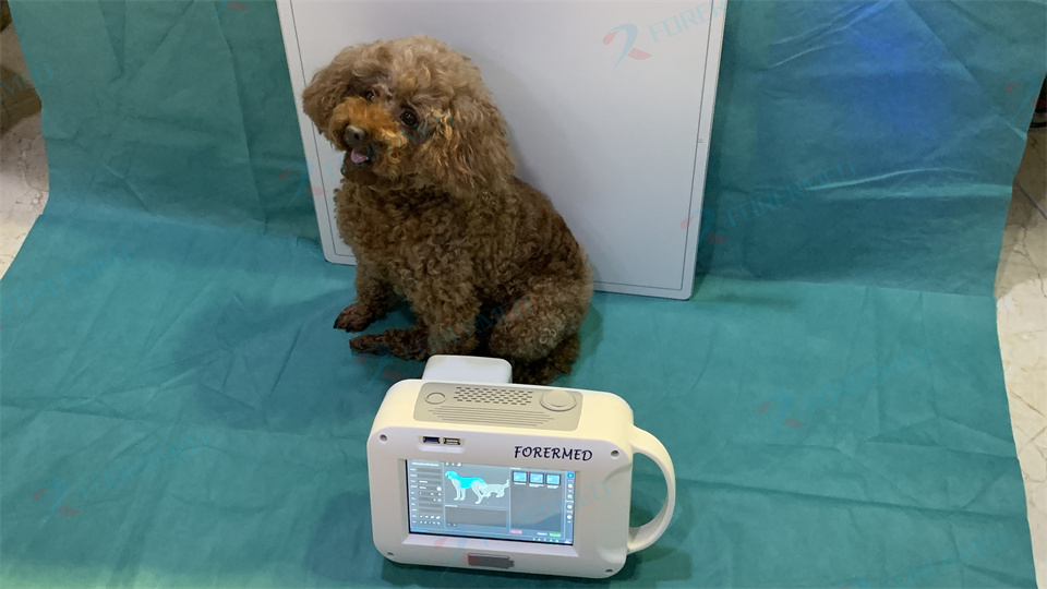 Mini máquina de rayos X veteri - Veterinary Anesthesia Machine reseña y precio